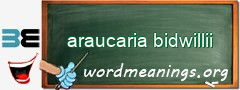 WordMeaning blackboard for araucaria bidwillii
